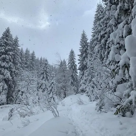 Challet Jasna Exclusive **** بيت خشبي