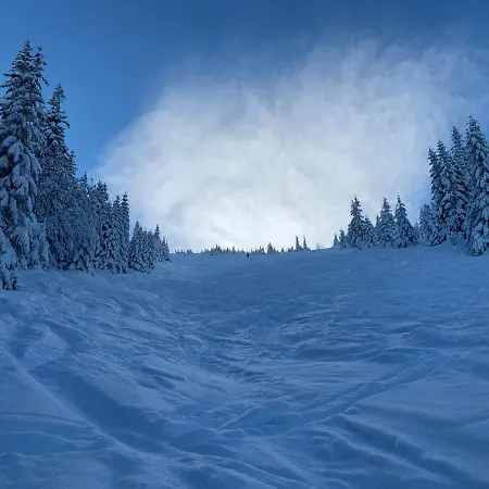 Challet Jasna Exclusive **** Lodge *
