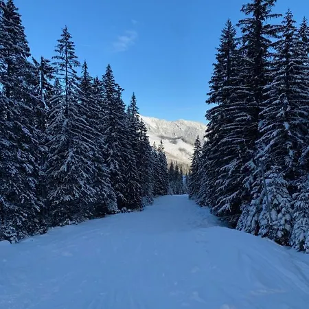 Challet Jasna Exclusive **** بيت خشبي ديمانوفْشكا دولِنا