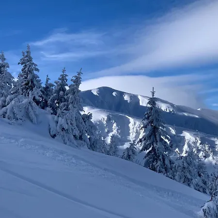 Challet Jasna Exclusive **** *