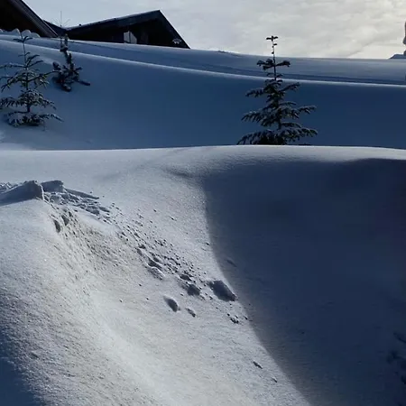 Challet Jasna Exclusive **** بيت خشبي ديمانوفْشكا دولِنا